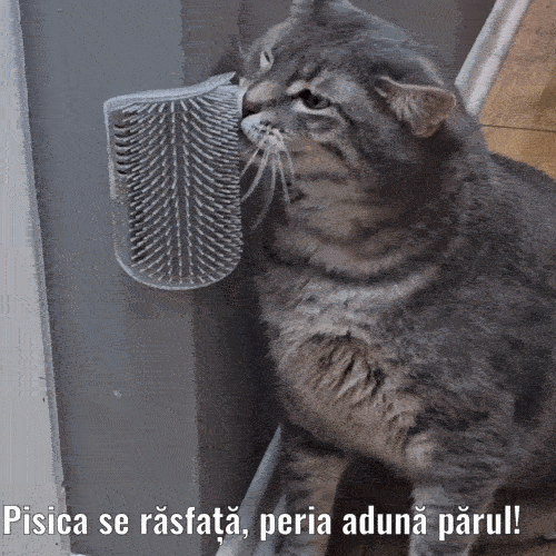 Perie Îngrijire pentru Pisici cu Iarbă de Mâță, Colectează Părul